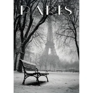 Paris sous la Neige